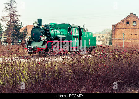 Eine grüne Dampflok Motor auf Anzeige in Marki, Polen. Die Schmalspurbahn PX 48 wurde im Jahr 1953 für die 750 mm S-Bahn hergestellt. Stockfoto