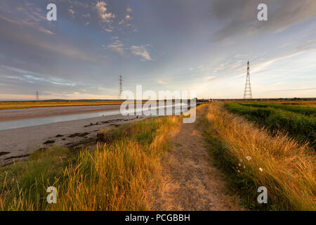 Am frühen Abend, vor Sonnenuntergang Licht über Kent's Wildlife Trust Oare Sümpfe Naturschutzgebiet, Oare, Faversham, Kent, Großbritannien. Pylonen sind sichtbar über den Creek. Stockfoto