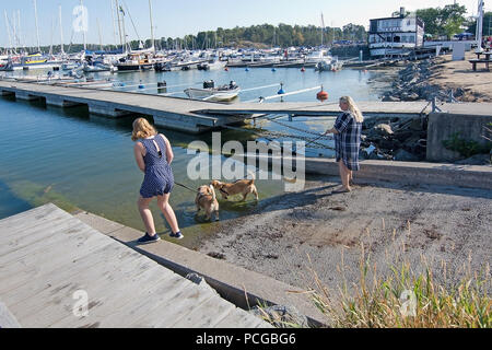 NYNASHAMN, Schweden - 18. JULI 2018: Mädchen und Frauen gehen Hunde am Pier am 18. Juli 2018 in Nynashamn, Schweden. Stockfoto