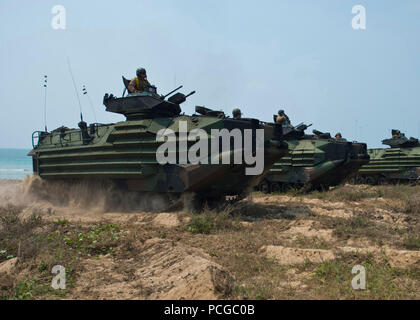 HAT YAO, Thailand (14. Februar 2013) amphibische Fahrzeuge zugewiesen, der 31. Marine Expeditionary Unit (MEU 31.) Line-up am Strand als Bestandteil der simulierten Strand Angriff Teil der Übung Cobra Gold 2013. Die 31. MEU ist Teil der Bonhomme Richard amphibische bereit Gruppe, derzeit im Einsatz in den USA 7. Flotte Aufgabengebiet. Kobra-Gold ist eine Thai-US Co-Sponsor multinationale gemeinsame Übung entwickelt, um die regionalen Sicherheit zu fördern, durch die Ausübung einer robusten multinationalen Truppe von Nationen teilen gemeinsame Ziele und Sicherheitsverpflichtungen in der Region Asien-Pazifik. (U. S. N Stockfoto