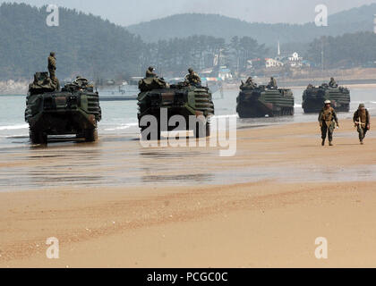 070329-L-6710M-056 SOUTH CHINA SEA (29. März 2007) - bereitet Angriff amphibische Fahrzeuge (AAV) U.S./Republic Korean Marines und Ausrüstung an der koreanischen Küste zur Unterstützung der Fohlen Adler 2007 transit. Fohlen Adler ist eine jährlich geplanten Übung mit Truppen aus den USA und der Republik Korea (ROK), Kampfbereitschaft durch Interoperabilität zu verbessern. Tortuga und die Essex amphibische bereit-Gruppe (ESXARG) ist, dass der Marine nur vorwärts Mehrzweck amphibischer Angriff Schiff und ist das Flaggschiff für Essex amphibische bereit Gruppe (ARG) bereitgestellt von Sasebo, Japan. US Navy Stockfoto