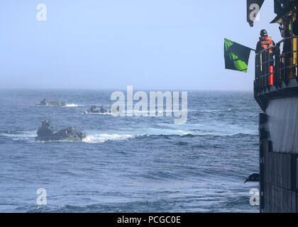 Atlantik (Jan. 30, 2013) Marines vom 26 Marine Expeditionary Unit (26 MEU) zurück zum Strand, um RAID zu dem Deck des Amphibischen dock Landung Schiff USS Carter Hall (LSD 50). Die kearsarge Amphibious Ready Gruppe ist die Durchführung amphibischer Squadron/Marine Expeditionary unit Integration in der Vorbereitung für einen geplanten Einsatz in diesem Frühjahr. Stockfoto