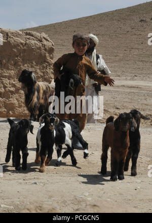 Ein afghanischer Junge lenkt seine Herde von jungen Ziegen auf einer Straße in einem kleinen Dorf in Murayni Bezirk, Provinz Ghazni, Afghanistan, April 3. Stockfoto