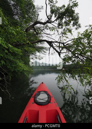 Bug (vorne) von einem roten Kajak fahren auf dem See Santeetlah, North Carolina an einem nebligen Morgen im Juni. Stockfoto