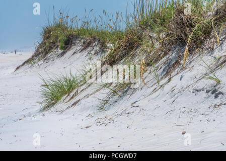 White Sand Beach Dunes in Jacksonville Beach, Florida. (USA) Stockfoto