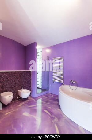 Interieur, neues Haus, ein komfortables Badezimmer Stockfoto