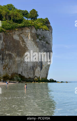 Saint-Pierre-en-Port (Normandie, Frankreich). Cote d'Albatre (Alabaster Küste). Kreidefelsen und Pebble Beach entlang der Küste *** Local Caption Stockfoto