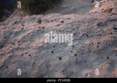 Mit Muster von Linien und Punkte auf der glatten Oberfläche Kalkstein. Stockfoto