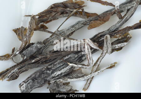 Blick von oben auf die getrockneter Seetang Detail: Wakame. Auf weiß isoliert. Nährstoff reichen vegan, roh und gesunde Gemüse. Stockfoto