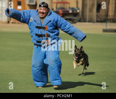 CAMP LEMONNIER, Dschibuti (Nov. 19, 2013) Senior Chief Yeoman Ivan Rivera läuft weg von Axel, ein Schäferhund militärischen Gebrauchshund, während des Trainings. Stockfoto