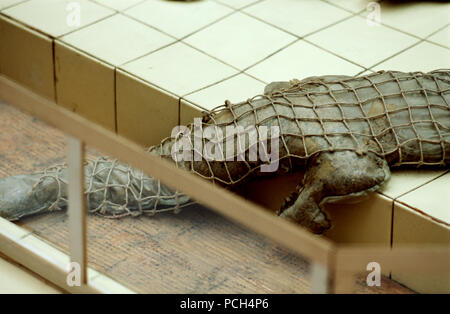 Panamarenko übersicht Ausstellung im Museum der Schönen Künste, Brüssel (Belgien, 14/11/2005) Stockfoto