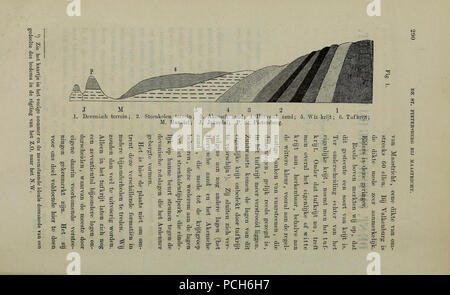 Album der Natuur (Seite 290) Stockfoto