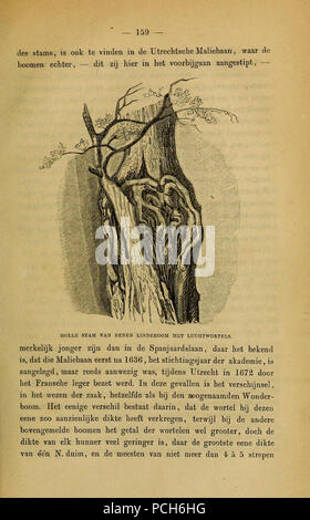 Album der Natuur (Seite 159) Stockfoto