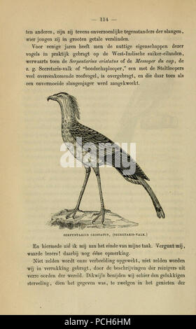 Album der Natuur (Seite 114) Stockfoto