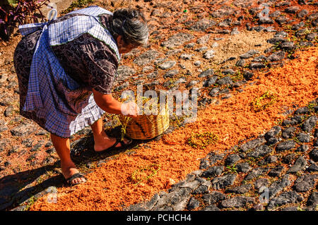 San Juan del Obispo, Guatemala - April 4, 2015: Lokale macht Karsamstag Prozession Teppich in der Stadt in der Nähe von Antigua mit berühmten Heiligen Woche feiern. Stockfoto