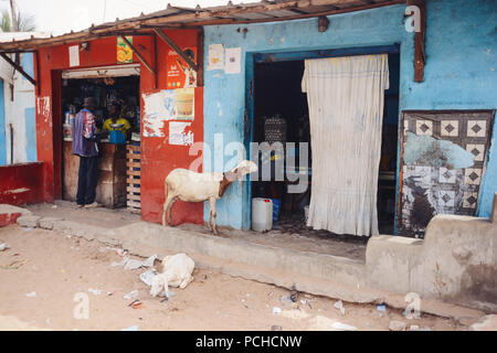 Eine neugierige Ziege ist auf der Suche durch die offene Tür im Store in Yoff, Dakar, Senegal. Stockfoto