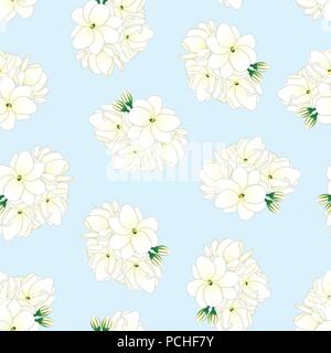 Jasminum sambac - Arabischer Jasmin auf hellblauem Hintergrund. Vector Illustration. Stock Vektor