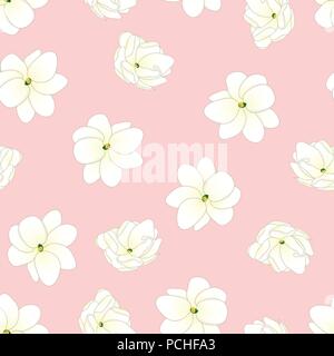 Jasminum sambac - Arabischer Jasmin auf Rosa Hintergrund. Vector Illustration. Stock Vektor