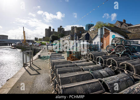 Fischernetze und Hummer Töpfe in Conwy Hafen im Norden von Wales, UK. Stockfoto