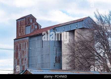 Die konkreten (1950er) und Oregon timber Getreidesilos von Victoria Mühle der ehemaligen Tremain in Bathurst NSW, Australien Stockfoto