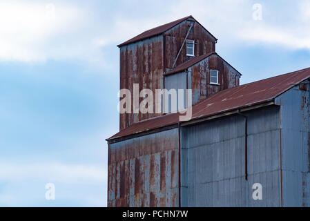 Die verzinktes Eisen, Oregon timber Getreidesilos von Victoria Mühle der ehemaligen Tremain in Bathurst NSW, Australien abgedeckt Stockfoto