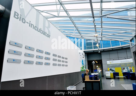 Ablynx, ein biopharmazeutisches Unternehmen mit Sitz in Gent (Belgien, 21/08/2008) Stockfoto