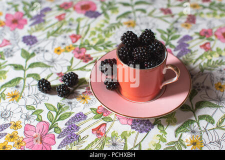 Ende Sommer (Herbst) Brombeeren, reif und bereit zu essen, entnommen (hat) von der lokalen Hölzern Stockfoto