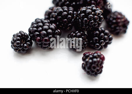 Viele Brombeeren auf weißem Hintergrund Stockfoto