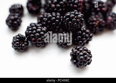 Viele Brombeeren auf weißem Hintergrund Stockfoto