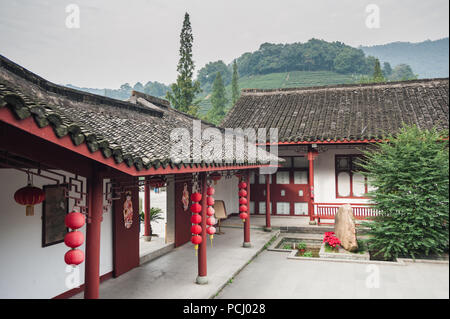 Malerische Teeplantagen, den Anbau von Tee Blätter für ein zeremonielles Getränk. Wunderschöne grüne Büsche in ordentlichen Reihen gepflanzt auf der ruhigen Hügeln in der Nähe von Hangzhou Stockfoto