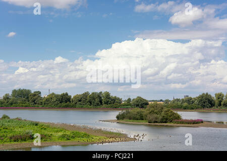 Mit Blick auf die Polder mit den Oude Waal und der Groenlanden in der ooijpolder in der Nähe von Nijmegen. in der Provinz Gelderland in den Niederlanden. Stockfoto