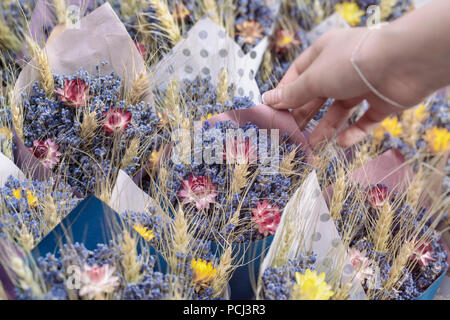 Blumensträuße der wilden Wiese Blumen, getrocknete Blumen, handgefertigte Blumenmarkt und weibliche Hand des Floristen. Stockfoto