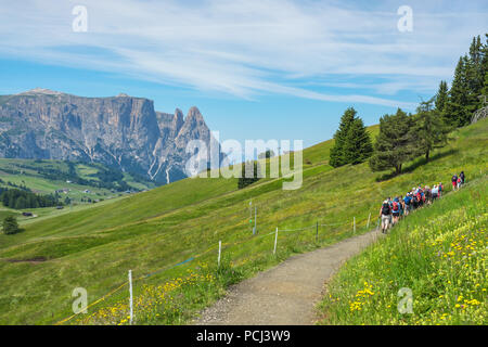 Wandern Gruppe auf einen Pfad in einer wunderschönen alpinen Landschaft mit blühenden Wiesen Stockfoto