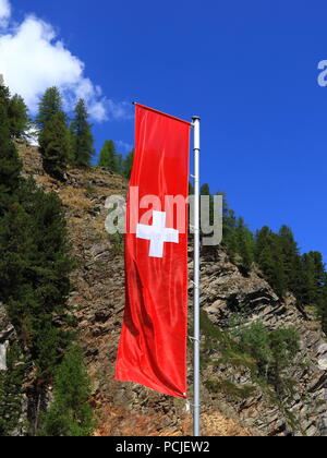 Flagge der Schweiz gegen Wald und blauem Himmel Hintergrund Stockfoto