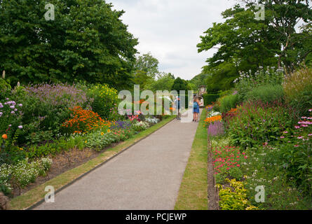 Sommer Garten grenzt in voller Blüte mit Blumen in Großbritannien Stockfoto