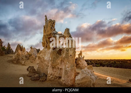 Die Pinnacles bei Sonnenuntergang, Nambung Nationalpark, Western Australia, Australien Stockfoto