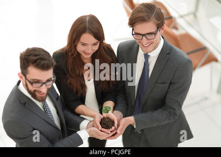 Business Team schützen Hände, kleine Keimen Stockfoto