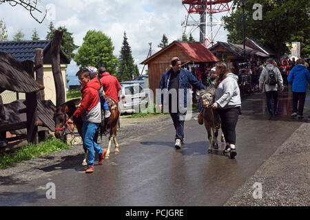 Ausritte für Kinder Gubalowka Park Zakopane Polen Stockfoto