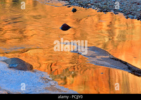 Eisformationen entlang der Pine River mit Zion Canyon Reflexionen der Wände im offenen Wasser, Zion National Park, Utah, USA Stockfoto