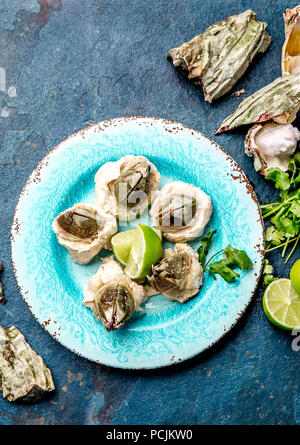 Meeresfrüchte PICOROCO. Vorbereitet, picoroco Austromegabalanus psittacus, der Riese barnacle oder picoroco. Chilenischen und peruanischen kosten Meeresfrüchte. Stockfoto