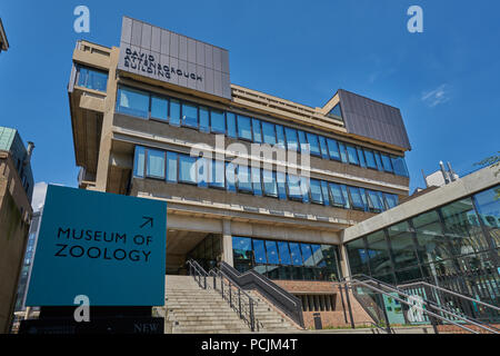 Zoologie Museum Cambridge Stockfoto