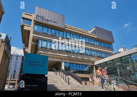 Zoologie Museum Cambridge Stockfoto