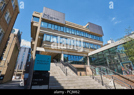 Zoologie Museum Cambridge Stockfoto