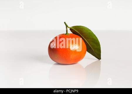 Single orange mandarin Frucht auf weiß reflektierend Isoliert Stockfoto