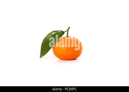 Isolierte einzelne orange mandarin Obst auf weißem Hintergrund Stockfoto