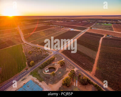 Sonnenuntergang mit Sun flare über landwirtschaftliche Flächen in Riverland, South Australia Stockfoto