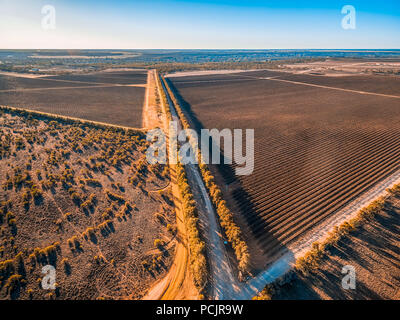 Die wunderschönen Weinberge von Banrock Station in Riverland, South Australia Stockfoto