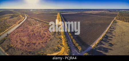 Die wunderschönen Weinberge von Banrock Station in Riverland, South Australia - Luftbild panorama Stockfoto