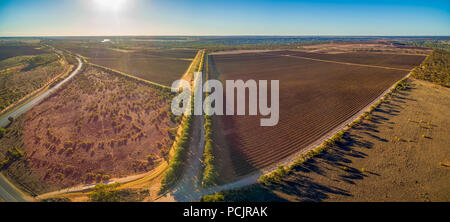 Malerische Weinberge von Banrock Station Winery in Riverland, South Australia - Luftbild panorama Stockfoto