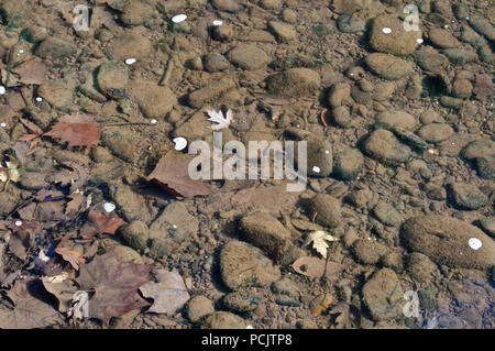Felsen und Kieselsteine unter Wasser in einem Fluss mit klaren